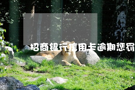 招商银行信用卡逾期惩罚