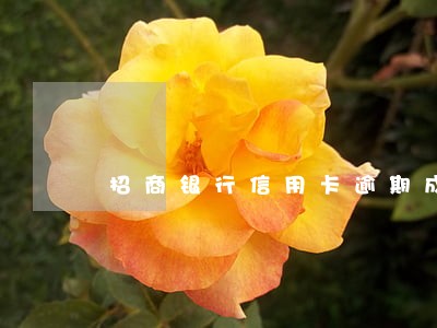 招商银行信用卡逾期成呆账 招商银行信用卡逾期成呆账