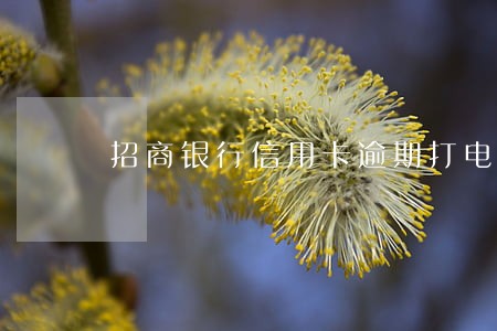 招商银行信用卡逾期打电话被冻结