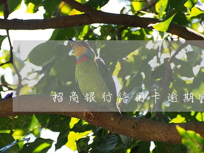 招商银行信用卡逾期晚点还