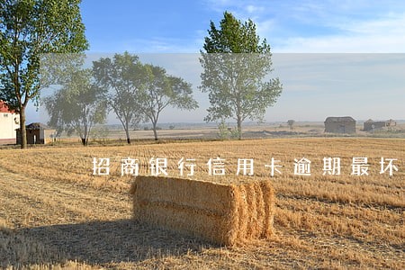 招商银行信用卡逾期最坏结果