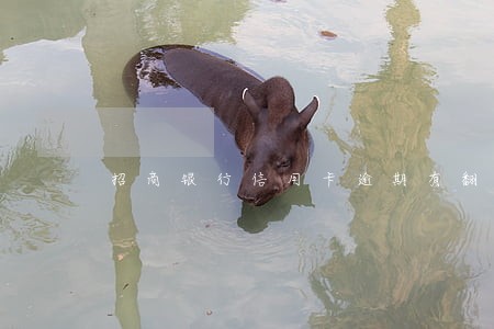 招商银行信用卡逾期有翻倍吗 招商银行信用卡逾期有翻倍吗