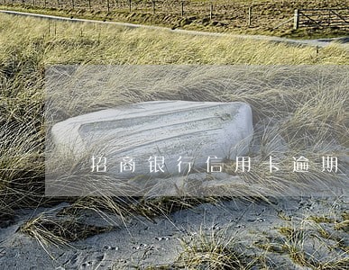 招商银行信用卡逾期有违约金 招商银行信用卡逾期有违约金
