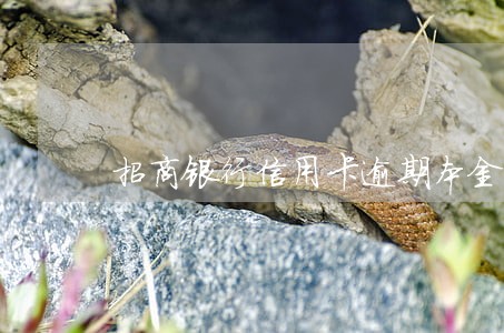 招商银行信用卡逾期本金 招商银行信用卡逾期本金