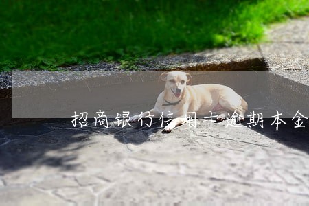 招商银行信用卡逾期本金还清 招商银行信用卡逾期本金还清
