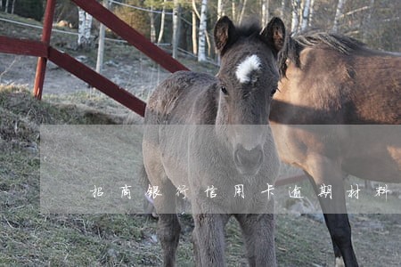 招商银行信用卡逾期材料上传 招商银行信用卡逾期材料上传