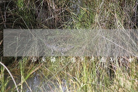 招商银行信用卡逾期欠款 招商银行信用卡逾期欠款