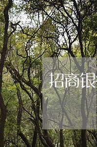 招商银行信用卡逾期法务部 招商银行信用卡逾期法务部