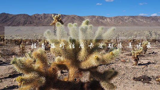 招商银行信用卡逾期爆通讯录 招商银行信用卡逾期爆通讯录