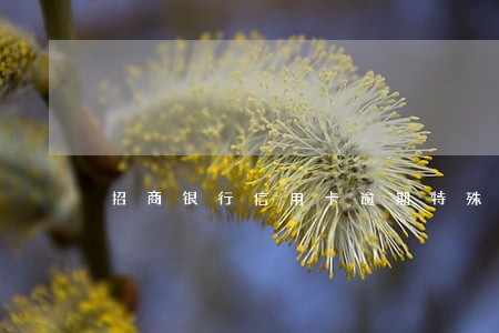 招商银行信用卡逾期特殊处理 招商银行信用卡逾期特殊处理