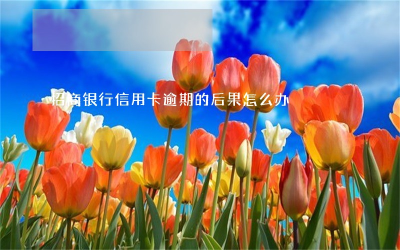 招商银行信用卡逾期的后果怎么办 招商银行信用卡逾期的后果怎么办