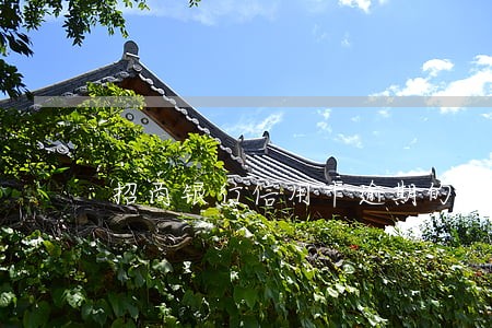 招商银行信用卡逾期的概念 招商银行信用卡逾期的概念