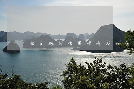 招商银行信用卡逾期秒扣储蓄卡