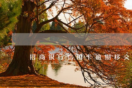 招商银行信用卡逾期移交律师 招商银行信用卡逾期移交律师