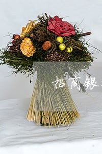 招商银行信用卡逾期立案 招商银行信用卡逾期立案