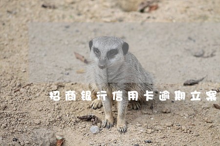 招商银行信用卡逾期立案调查 招商银行信用卡逾期立案调查