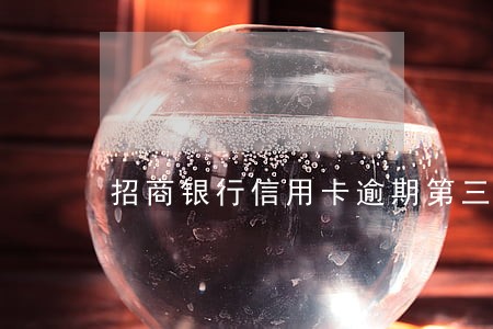 招商银行信用卡逾期第三方上门了