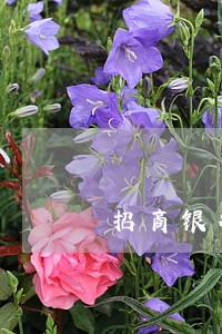 招商银行信用卡逾期终止合作 招商银行信用卡逾期终止合作
