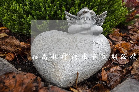招商银行信用卡逾期经侦 招商银行信用卡逾期经侦