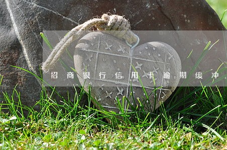 招商银行信用卡逾期缓冲 招商银行信用卡逾期缓冲
