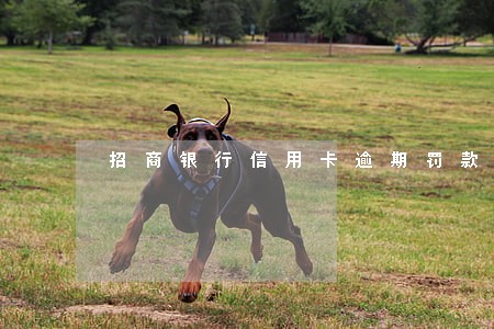 招商银行信用卡逾期罚款和滞纳金 招商银行信用卡逾期罚款和滞纳金
