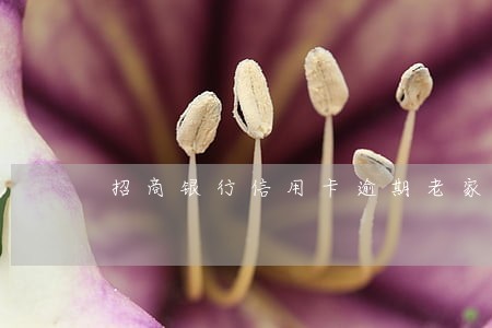 招商银行信用卡逾期老家上门两次