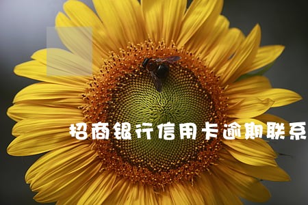 招商银行信用卡逾期联系谁调解