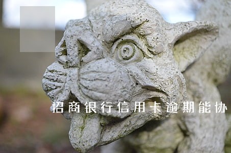 招商银行信用卡逾期能协商