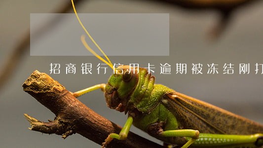 招商银行信用卡逾期被冻结刚打