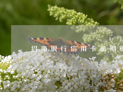 招商银行信用卡逾期被起诉了 招商银行信用卡逾期被起诉了
