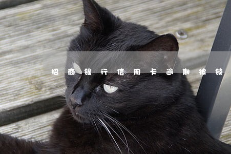 招商银行信用卡逾期被锁 招商银行信用卡逾期被锁