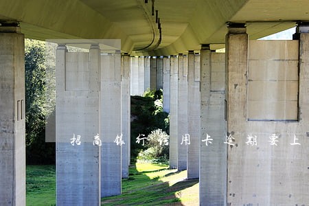 招商银行信用卡逾期要上传身份证
