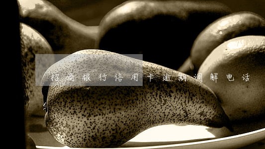 招商银行信用卡逾期调解电话
