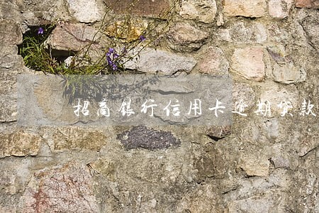 招商银行信用卡逾期贷款 招商银行信用卡逾期贷款