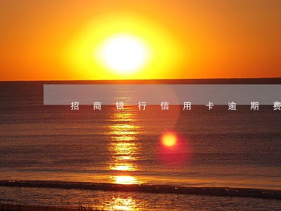 招商银行信用卡逾期费用多少 招商银行信用卡逾期费用多少
