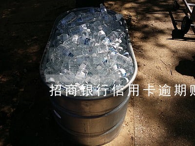 招商银行信用卡逾期赔偿 招商银行信用卡逾期赔偿