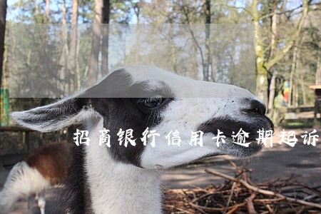 招商银行信用卡逾期起诉了