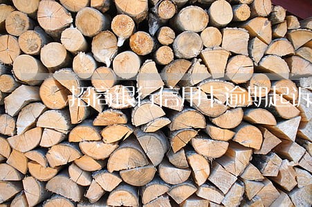 招商银行信用卡逾期起诉判决