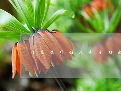 招商银行信用卡逾期起诉通知 招商银行信用卡逾期起诉通知