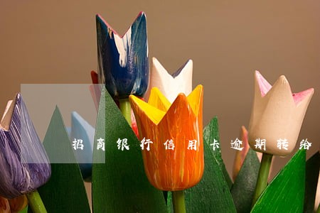 招商银行信用卡逾期转给法务部