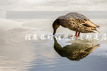 招商银行信用卡逾期过后怎么提额 招商银行信用卡逾期过后怎么提额