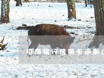 招商银行信用卡逾期还一部分 招商银行信用卡逾期还一部分