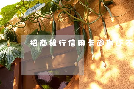 招商银行信用卡逾期还不上 招商银行信用卡逾期还不上