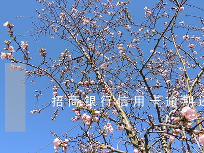 招商银行信用卡逾期还款8天 招商银行信用卡逾期还款8天