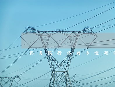 招商银行信用卡逾期还款优惠 招商银行信用卡逾期还款优惠