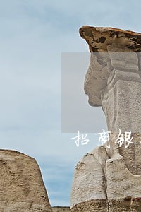 招商银行信用卡逾期还款没记账 招商银行信用卡逾期还款没记账