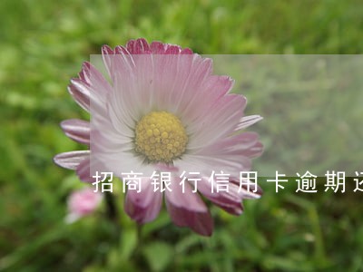 招商银行信用卡逾期还款没还完 招商银行信用卡逾期还款没还完