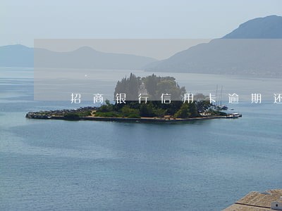 招商银行信用卡逾期还款突然降额 招商银行信用卡逾期还款突然降额