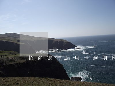 招商银行信用卡逾期还清 招商银行信用卡逾期还清