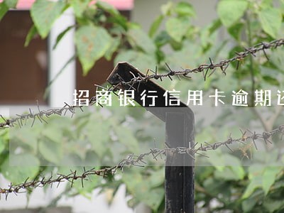 招商银行信用卡逾期还能开新卡吗 招商银行信用卡逾期还能开新卡吗